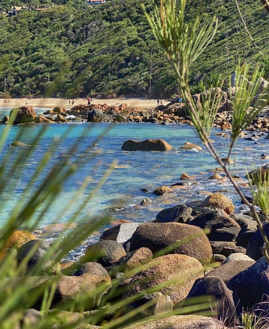 Place Praia do Rosa - Rosa Norte