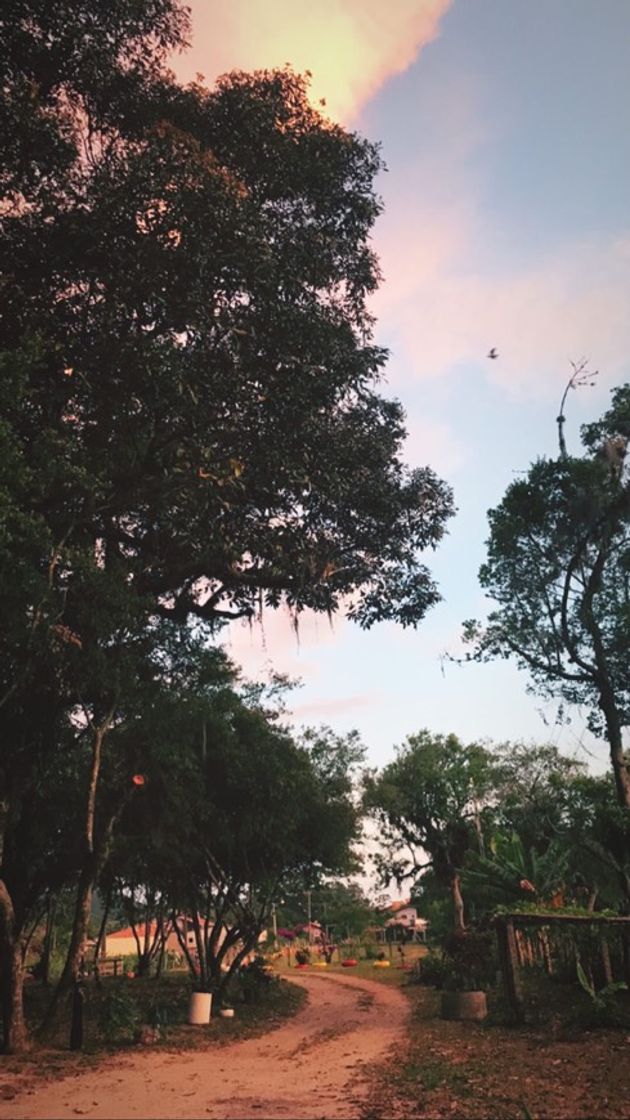 Place Ibiraquera
