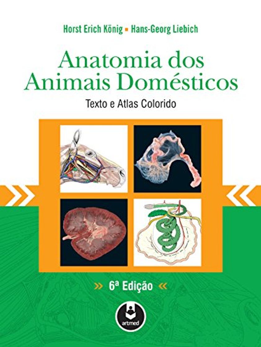 Book Anatomia dos Animais Domésticos