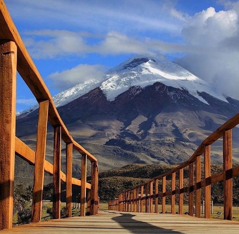 Fashion Volcán Cotopaxi