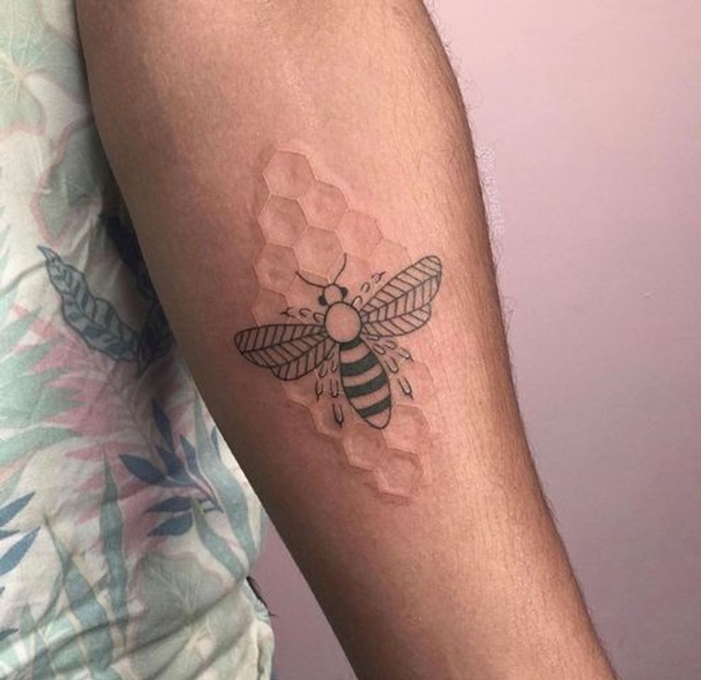 Moda Colmeia de abelha 🐝 