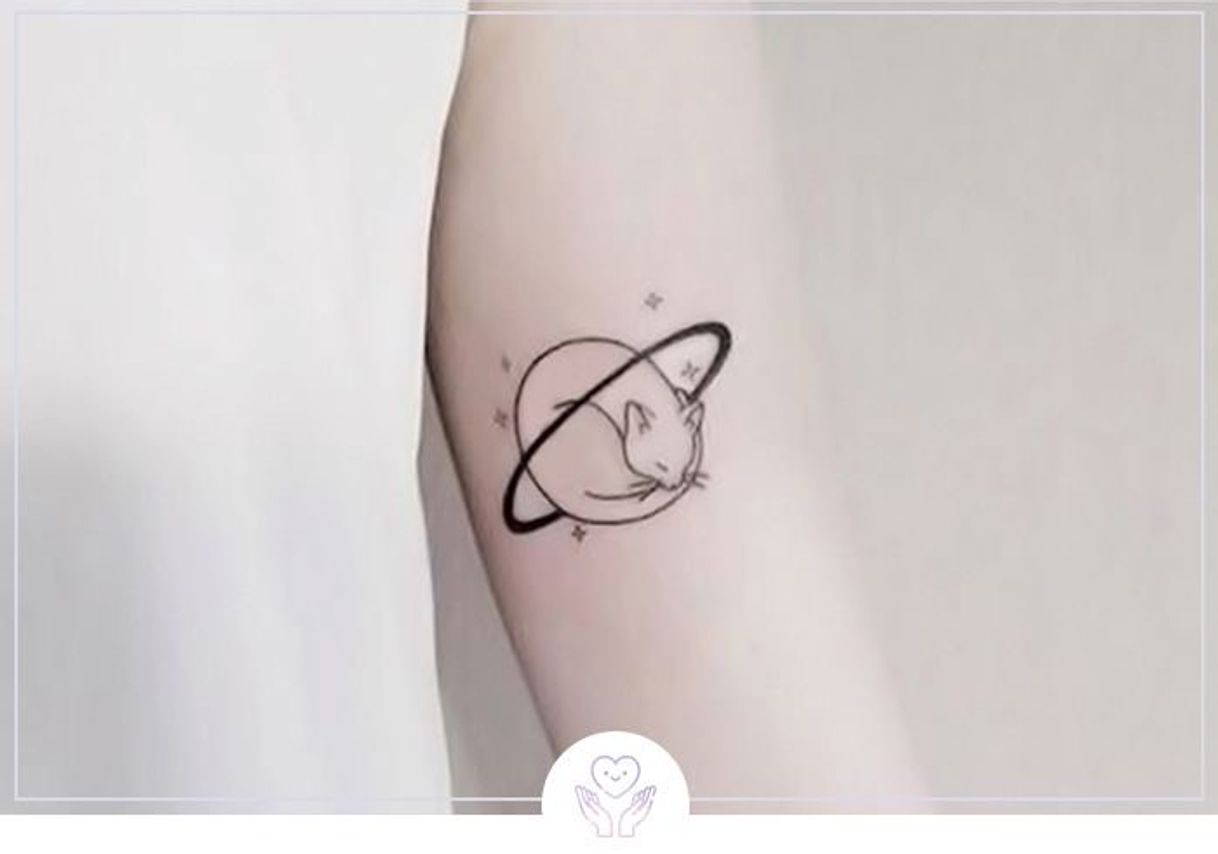 Gatinho Planeta ❤️