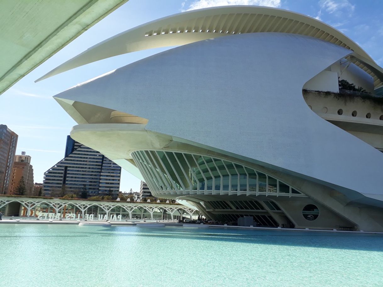 Lugar Palau de les Arts Reina Sofía (Opera Valencia)