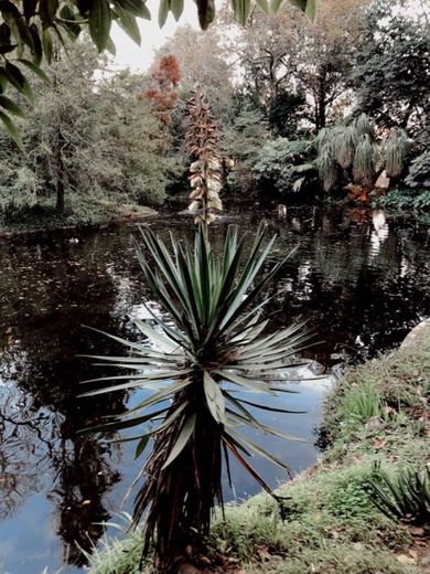 Parque de Serralves