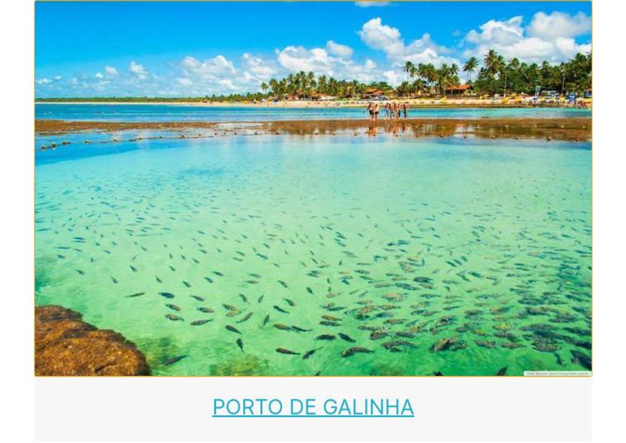 Social Porto de Galinhas-PE