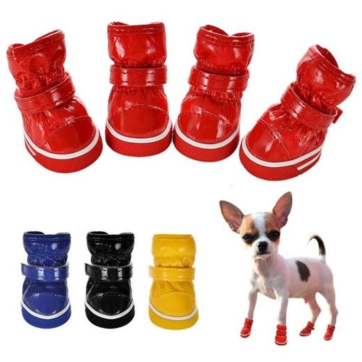 Sapatos para cachorros