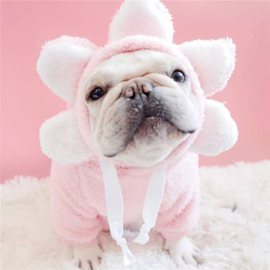 Fashion Roupas para dogs