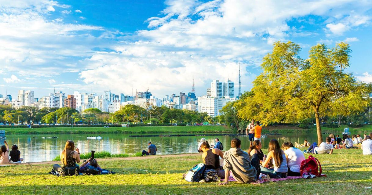 Lugar Ibirapuera