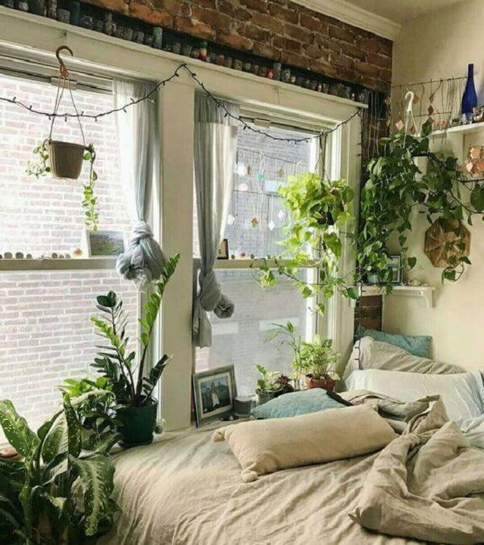 Moda Quarto com plantas