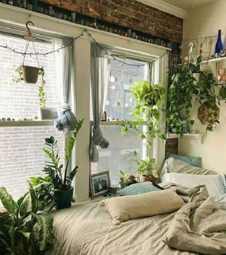 Quarto com plantas