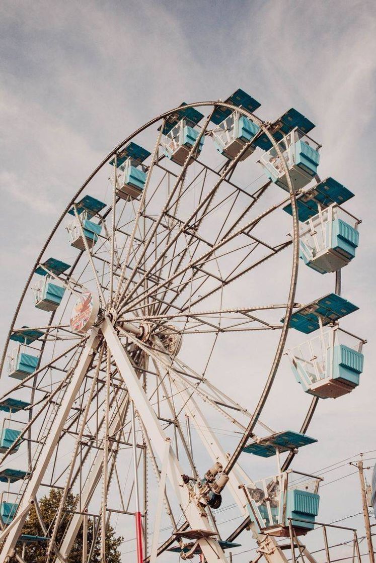 Social Ferris wheel 