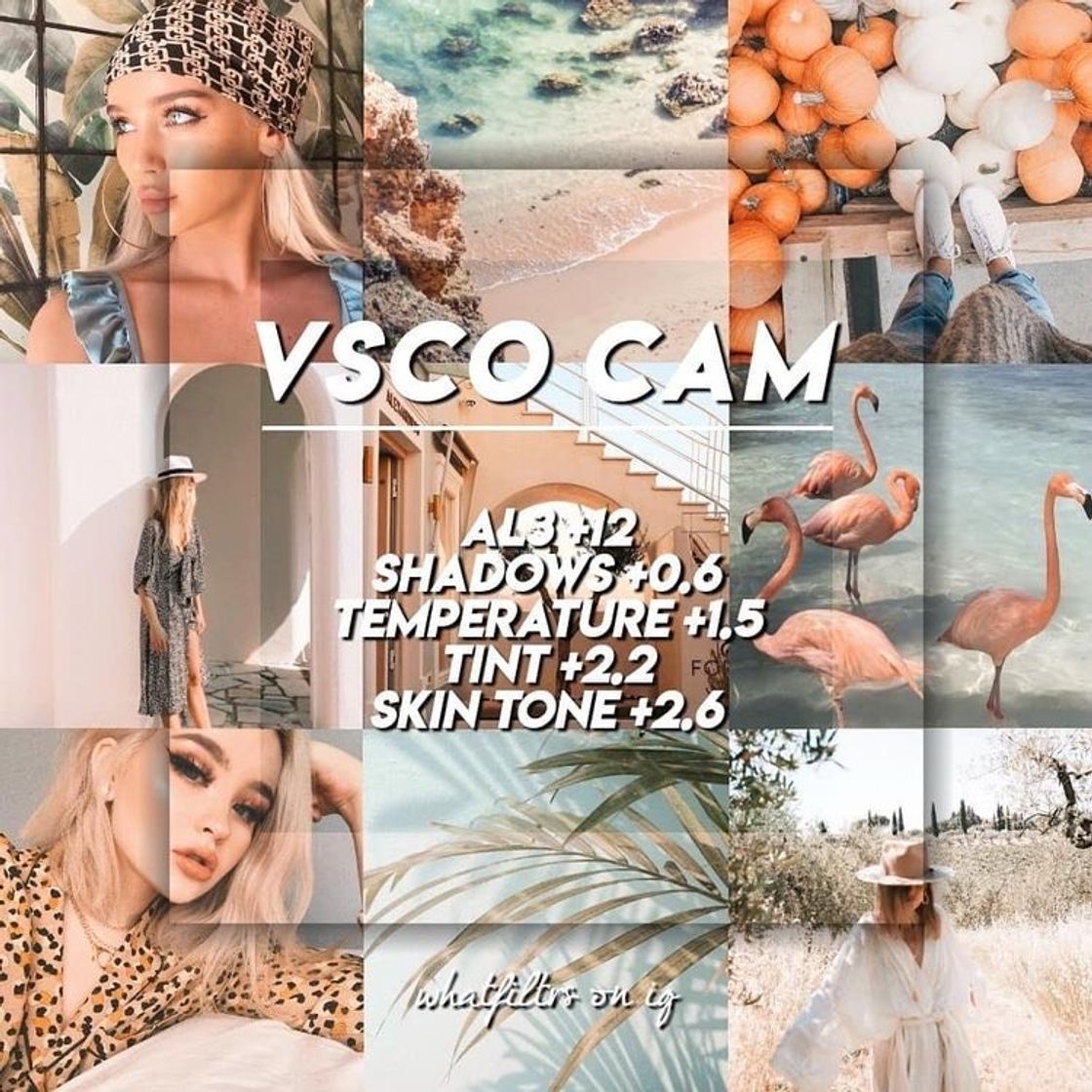 Fashion VSCO 🌺