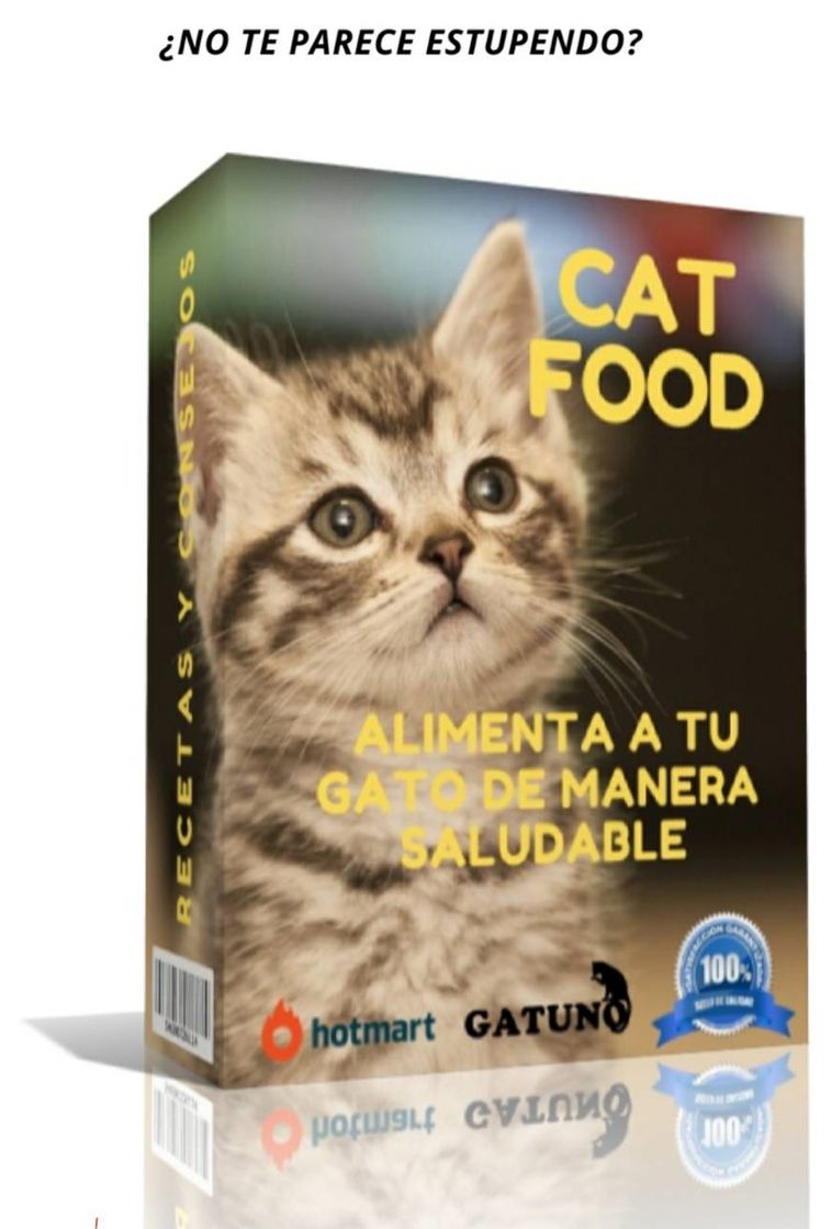 Fashion ALIMENTA A TU GATO DE MANERA SALUDABLE 