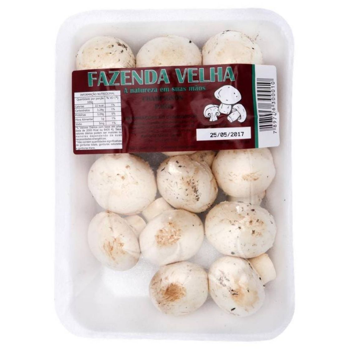 Moda Cogumelos (champignons)