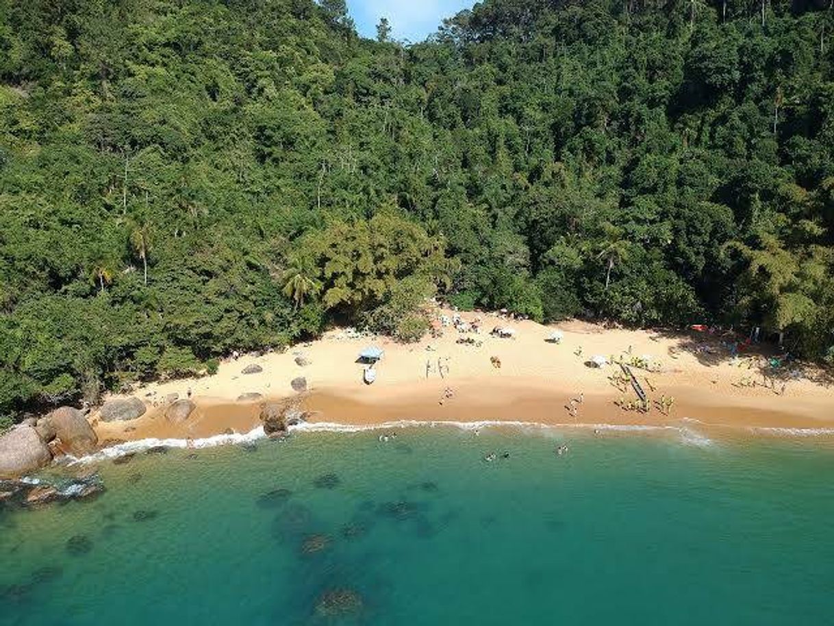 Lugar Praia do Cedro