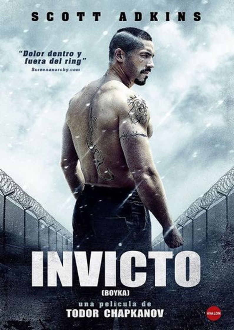 Movie Boyka: Invicto IV