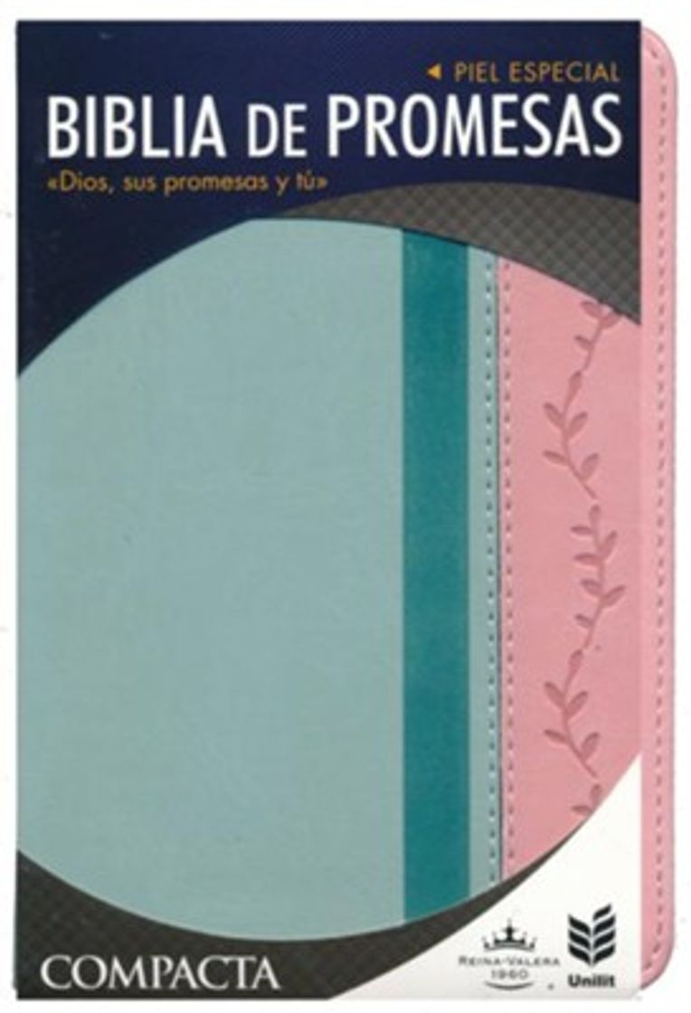 Libro Biblia de Promesas