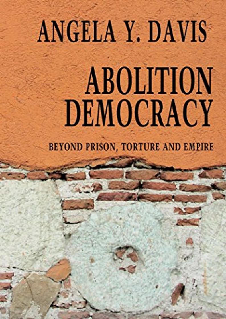 Book Abolition Democracy