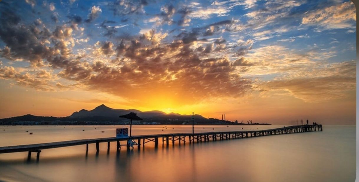 Lugar Puerto de Pollensa