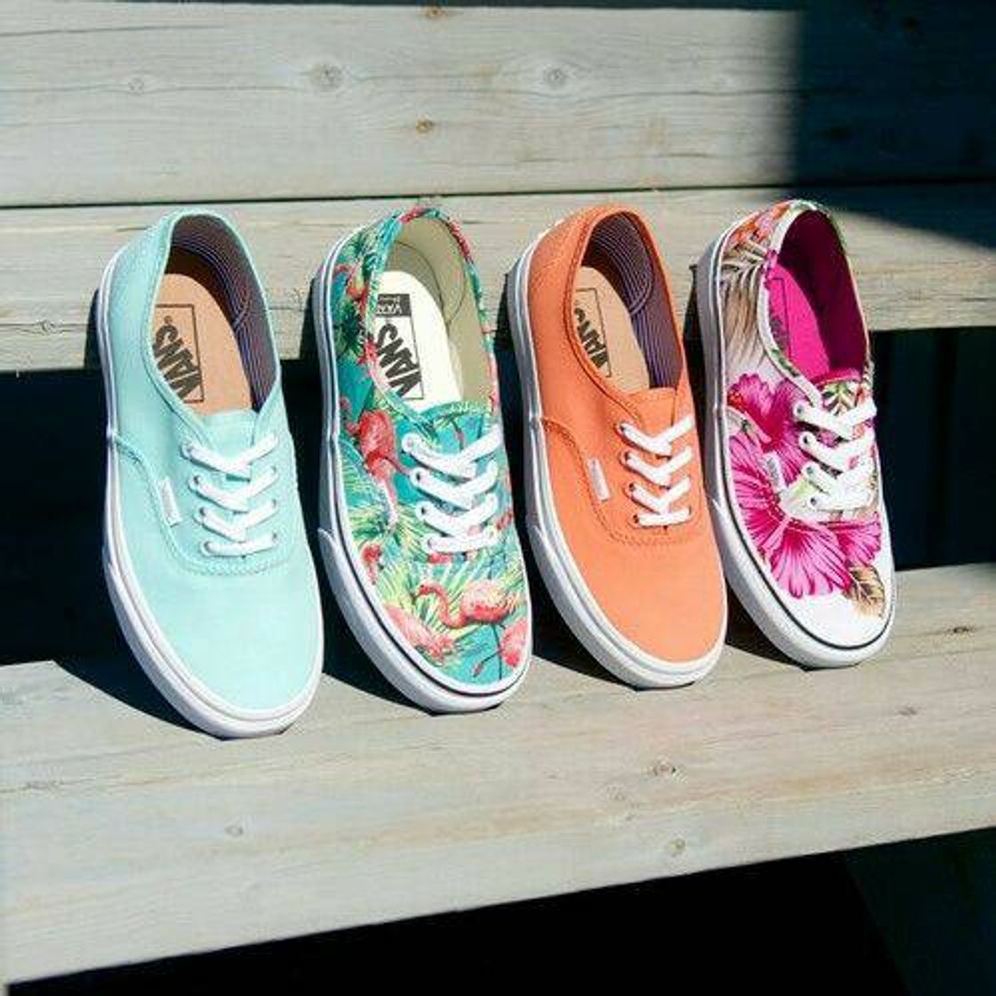 Fashion Vans