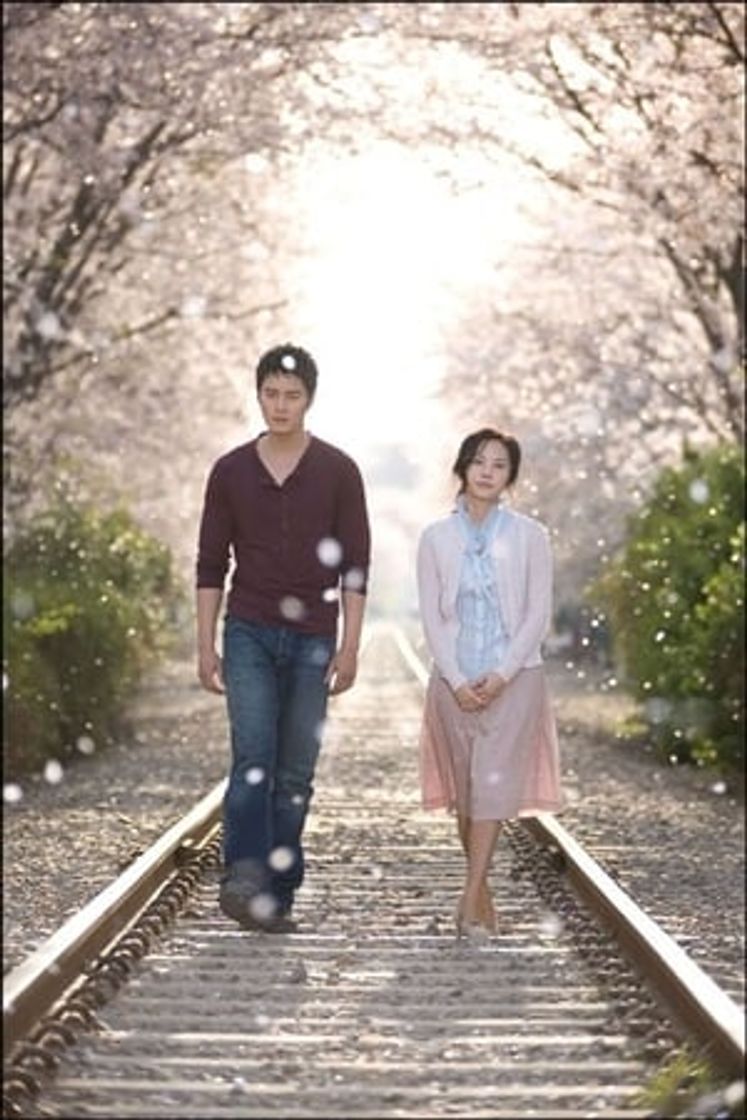 Serie 8월에 내리는 눈