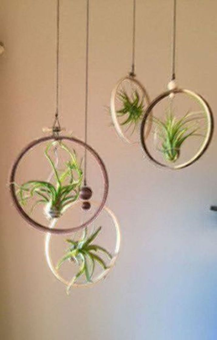 Social Planta artificial cheflera 65 cm altura