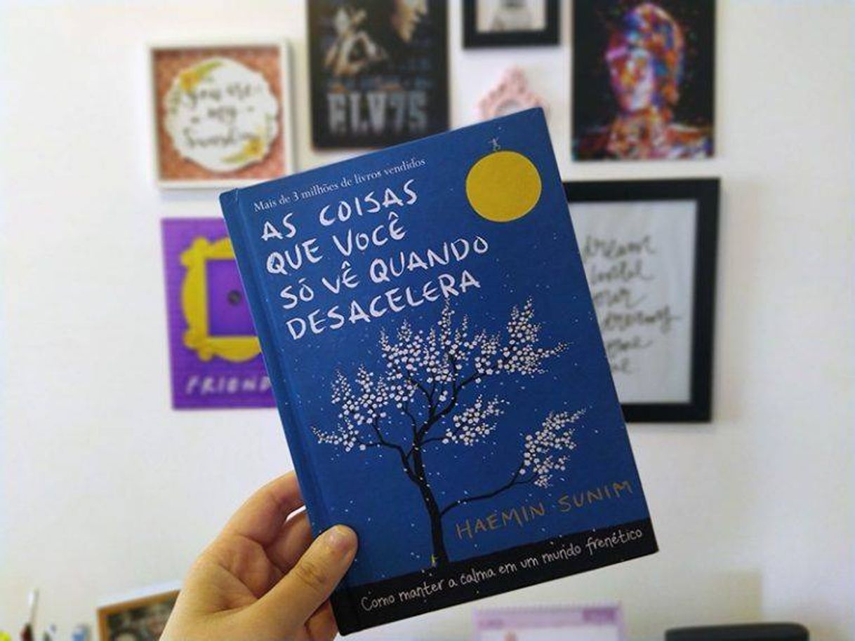 Libro As coisas que você só vê quando desacelera