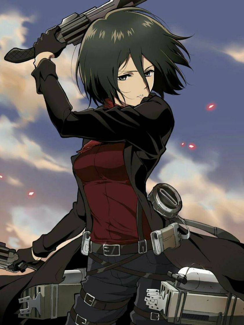 Fashion Mikasa