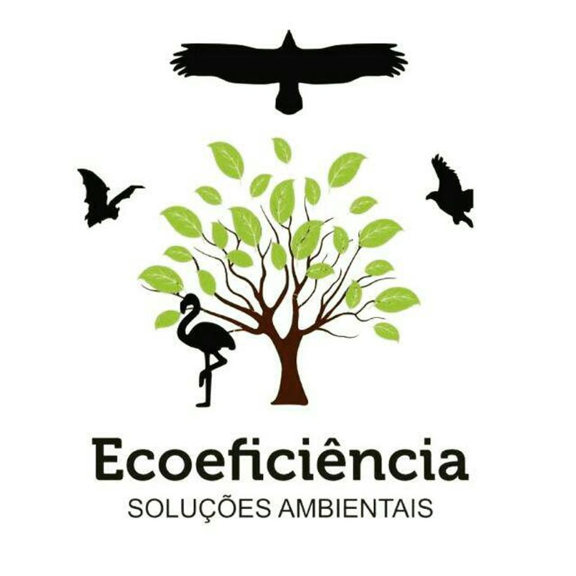 Lugares Ecoeficiência Soluções Ambientais