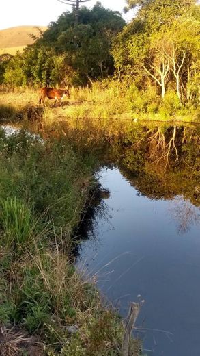 Minas Gerais