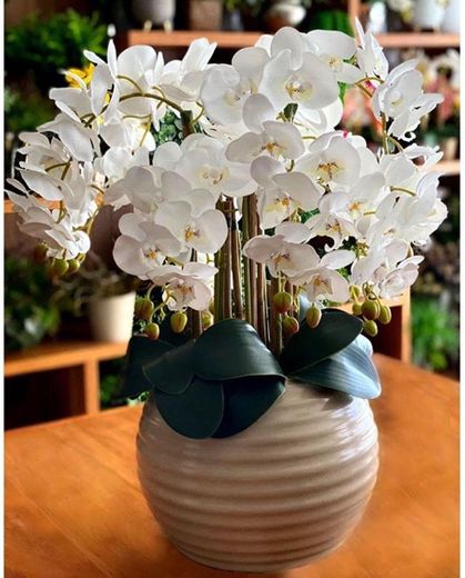 Orquídeas brancas ♥️