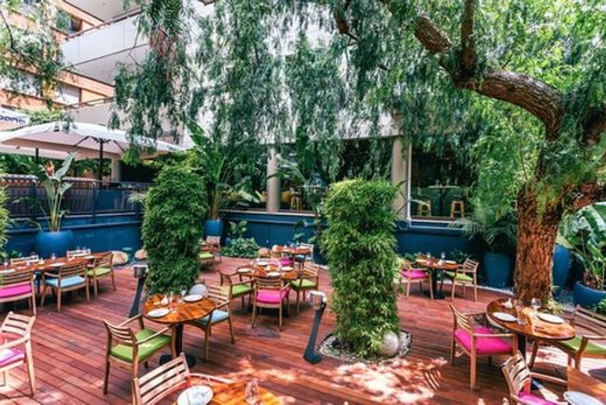 Restaurantes Ikibana Sarrià