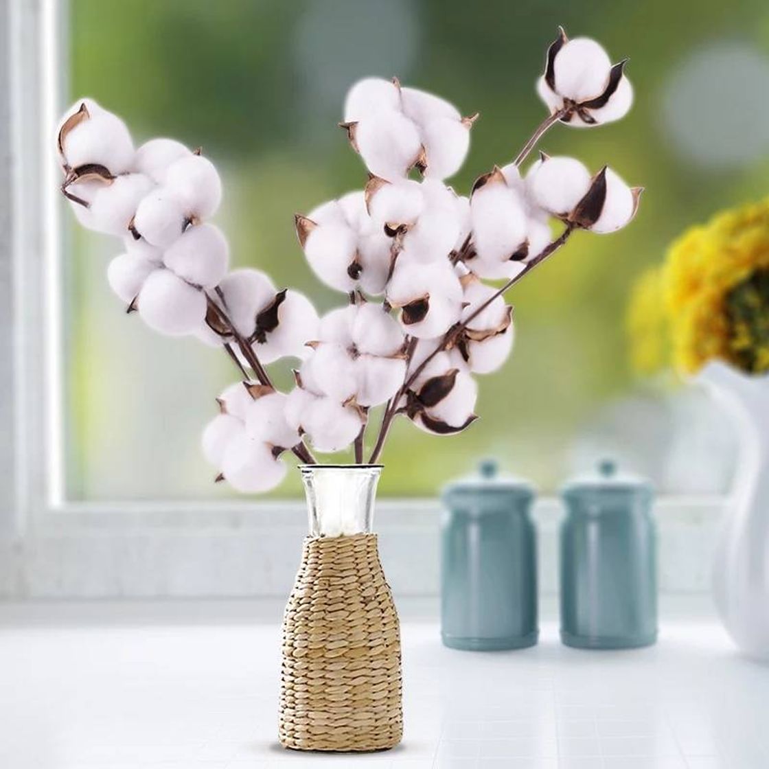 Social Flores