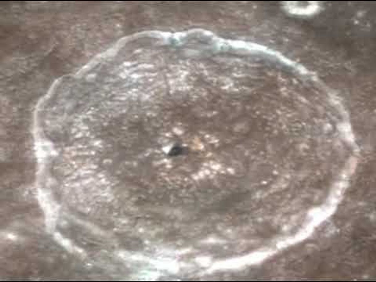 Social As pessoas continuam encontrando pirâmides na Lua