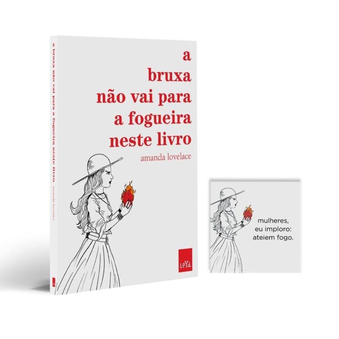 Libro A Bruxa não Vai Para a Fogueira Neste Livro