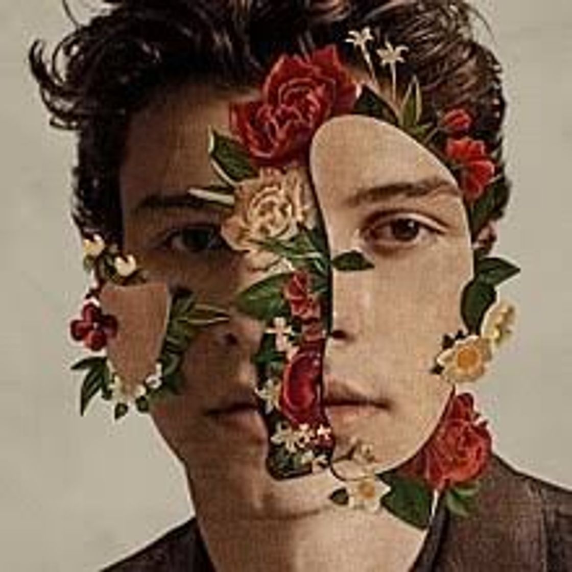 Fashion Shawn Mendes