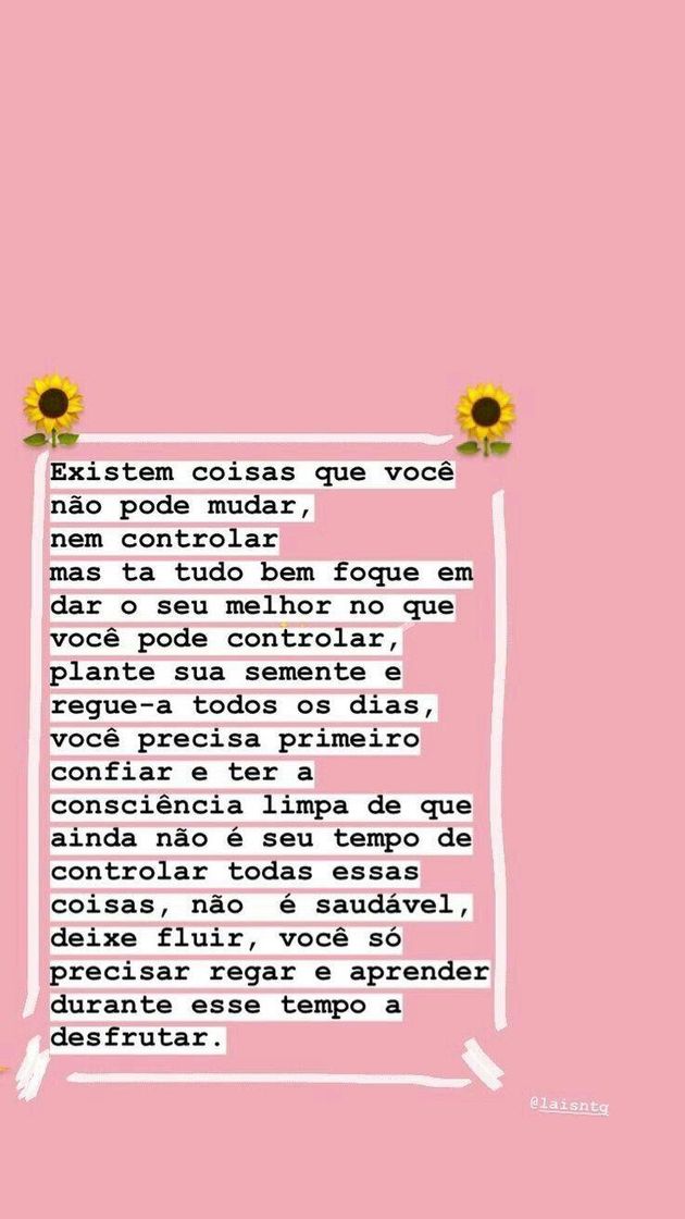 Moda 🌻