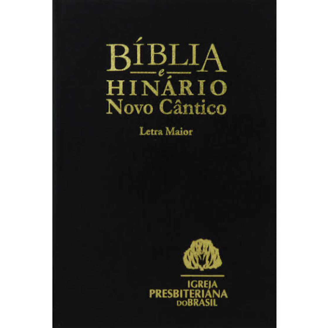 Libro Sagrada Biblia. Popular rustica azul: Versión oficial de la Conferencia Episcopal Española: