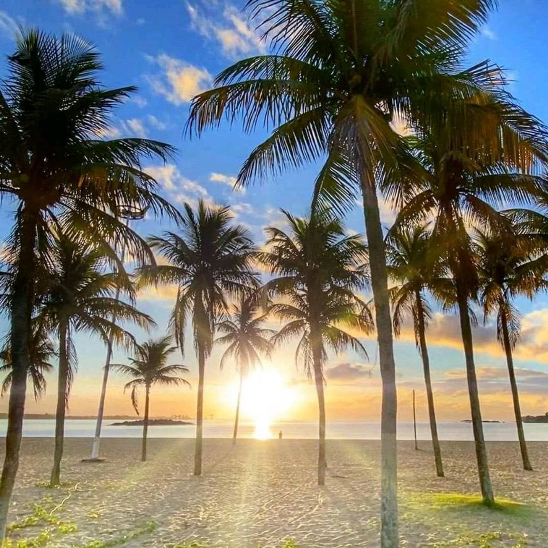 Place Playa de Camburi