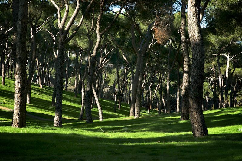 Place Dehesa de la Villa