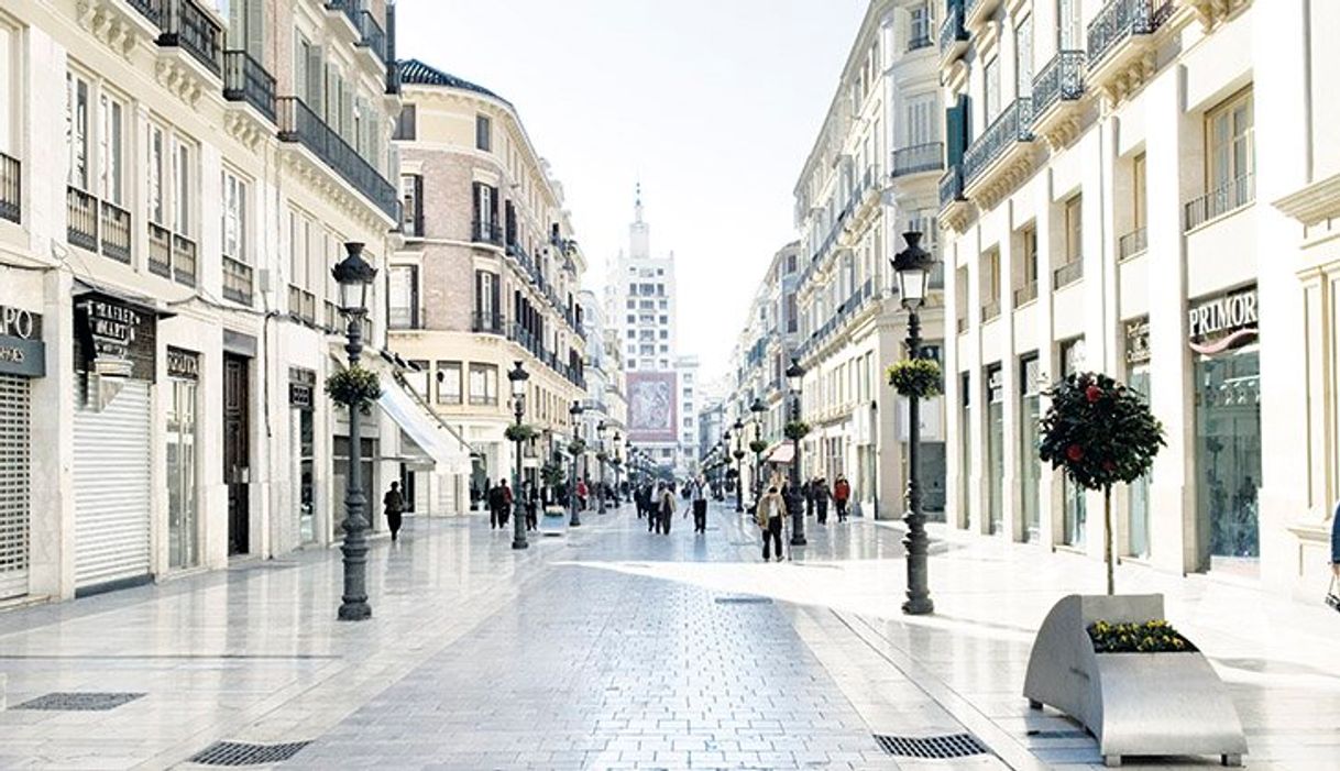 Lugar Calle Larios