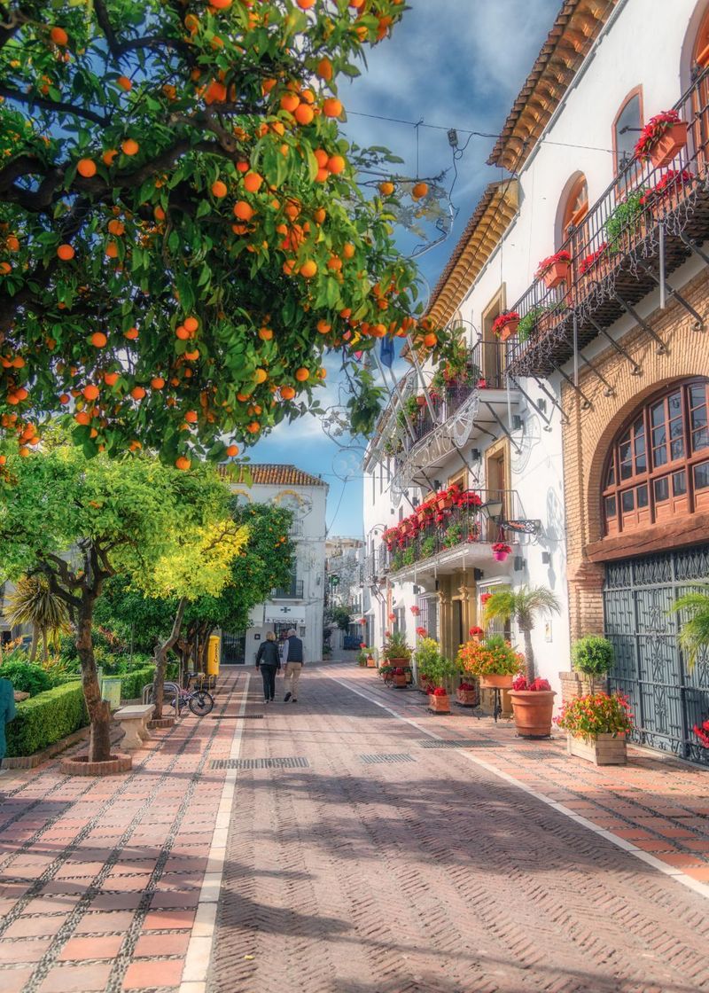 Lugar Plaza de los Naranjos