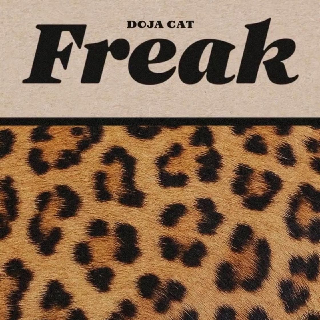 Fashion Doja Cat - Freak