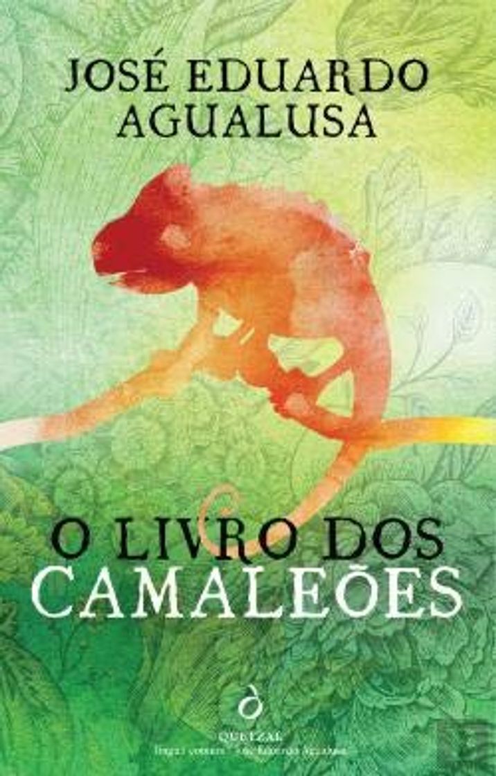 Books O Livro dos Camaleões