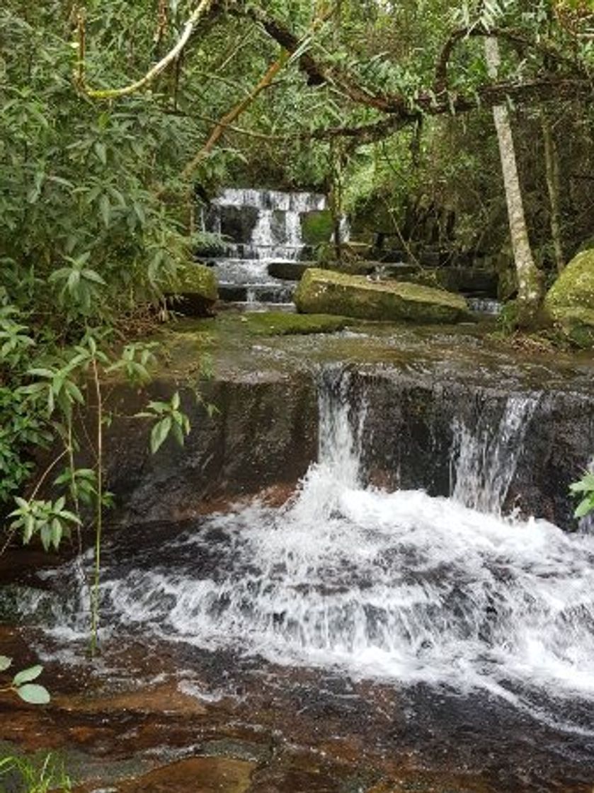 Lugar Parque Nacional Ybycuí