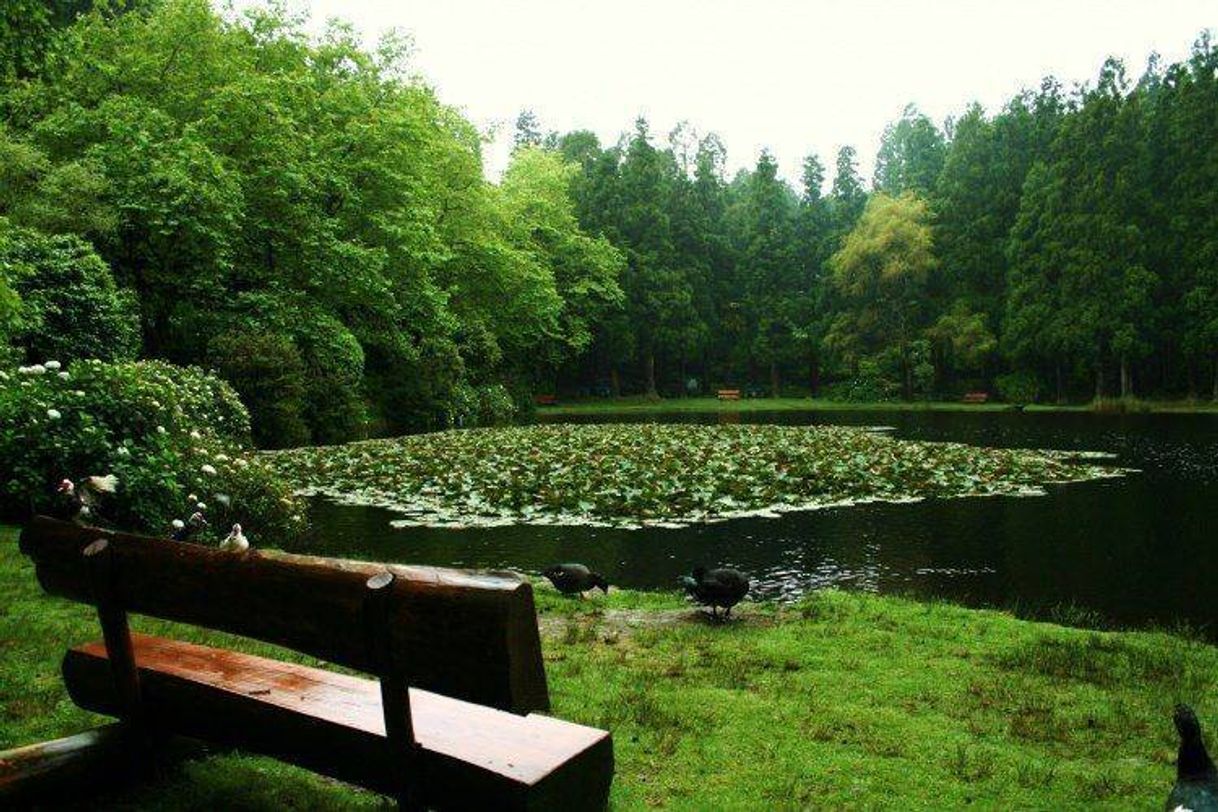 Lugar Lagoa das Patas