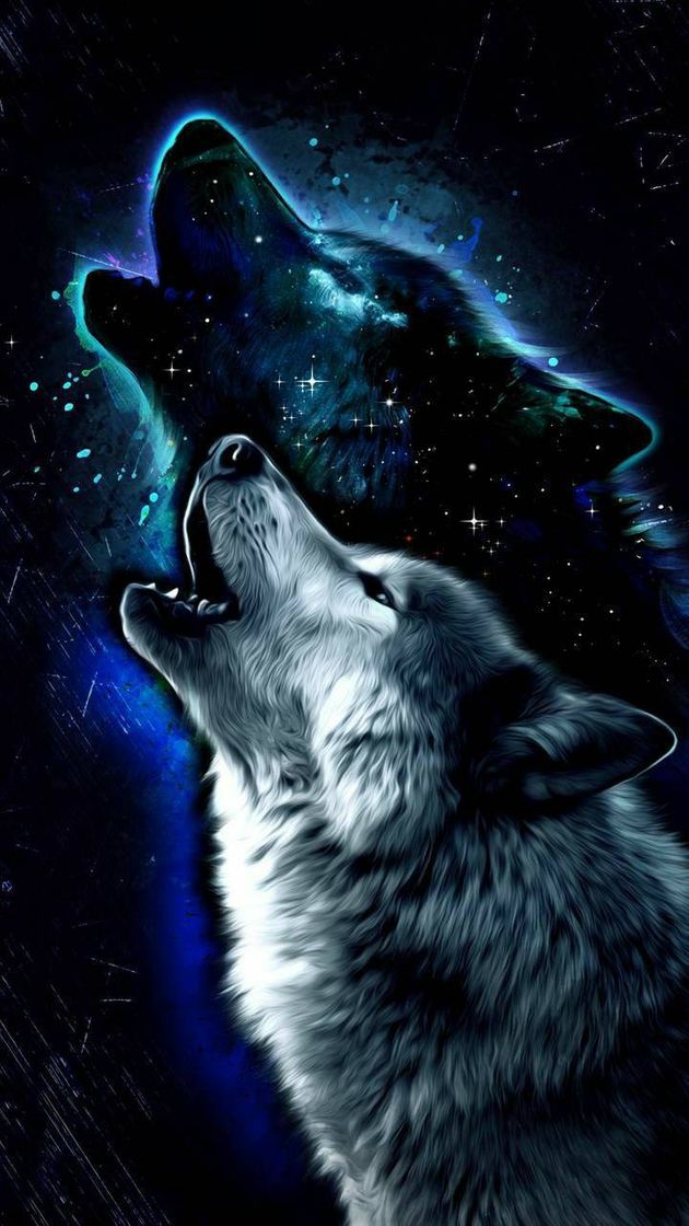 Social Wallpaper / lobo