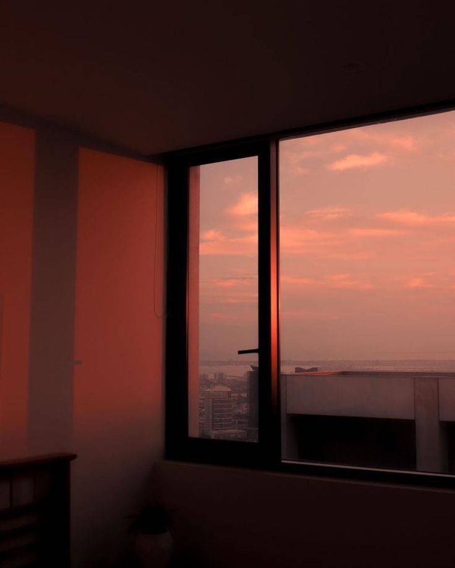 Window