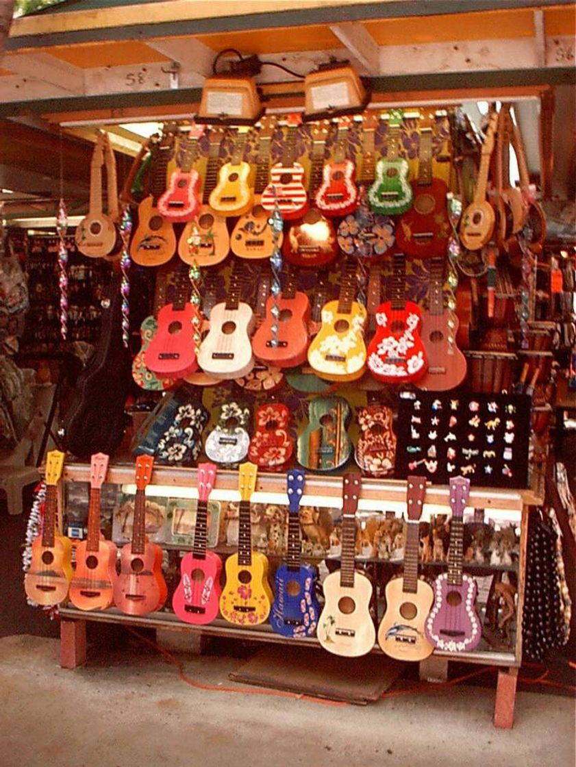 Social Uma coleção dessas 