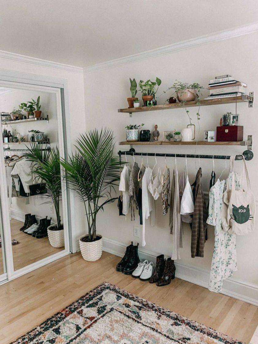 Fashion Decoração: Araras🌿